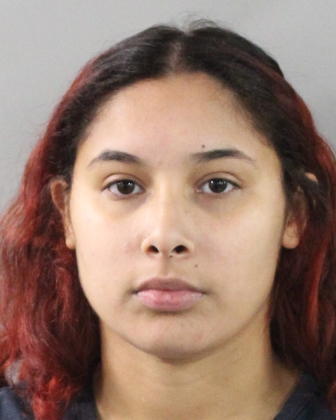 Frostproof woman arrested for felony animal cruelty